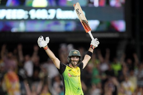 Maxwell displays grit, then star value