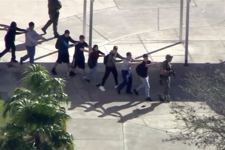 Seventeen killed in Florida high school shooting