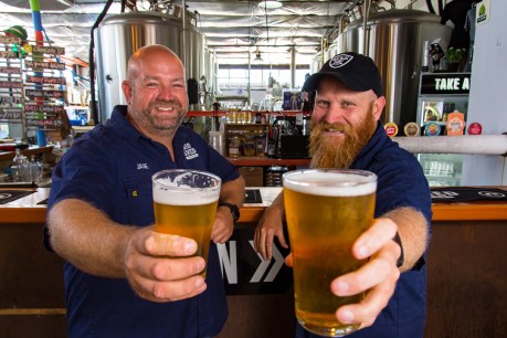 Big Shed Brewing administrators to keep pouring pints