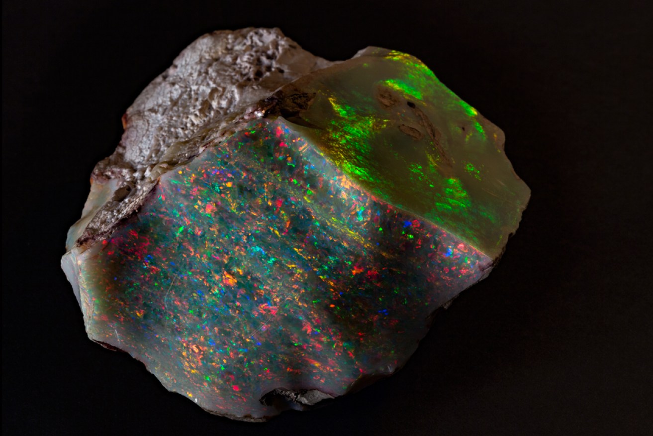 The Fire of Australia opal. Photo courtesy South Australian Museum