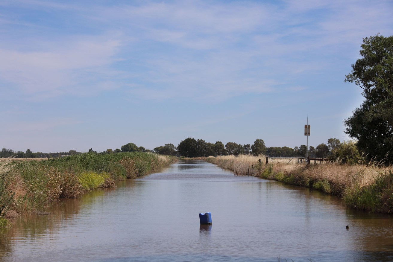 An open irrigation canal near Swan Hill, Victoria.  Photo: Tony Lewis/InDaily