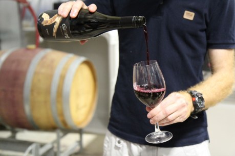 Emerging winemakers to star at Cellar Door Fest