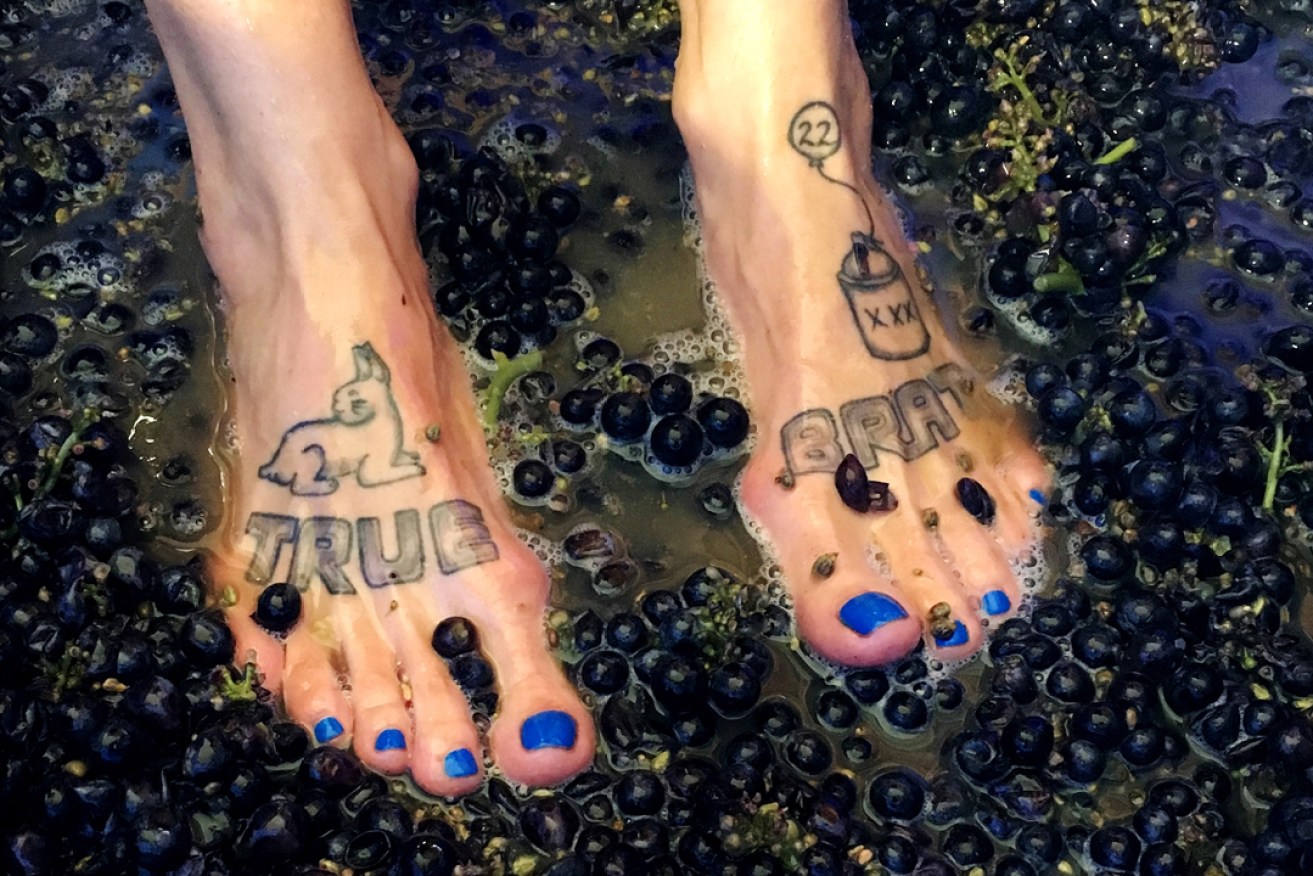 In Australia, tootsies -
 but not water - were always officially permitted in wine. Photo: Maynard James Keenan