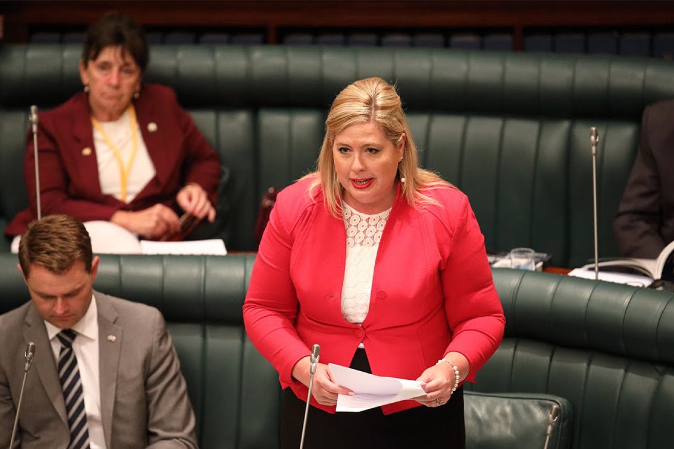 Disabilities Minister Katrine Hildyard in parliament. Photo: Tony Lewis / InDaily