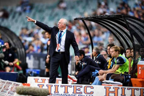 Graham Arnold named as Socceroos’ long-term coach