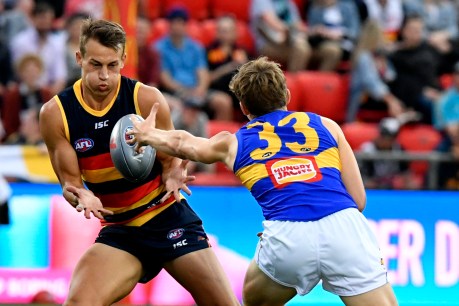 New-look Crows and Dons for round one