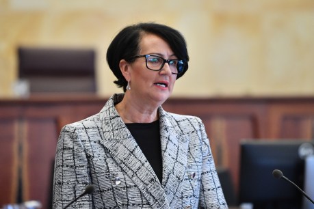 Attorney-General flags tougher pedophile laws