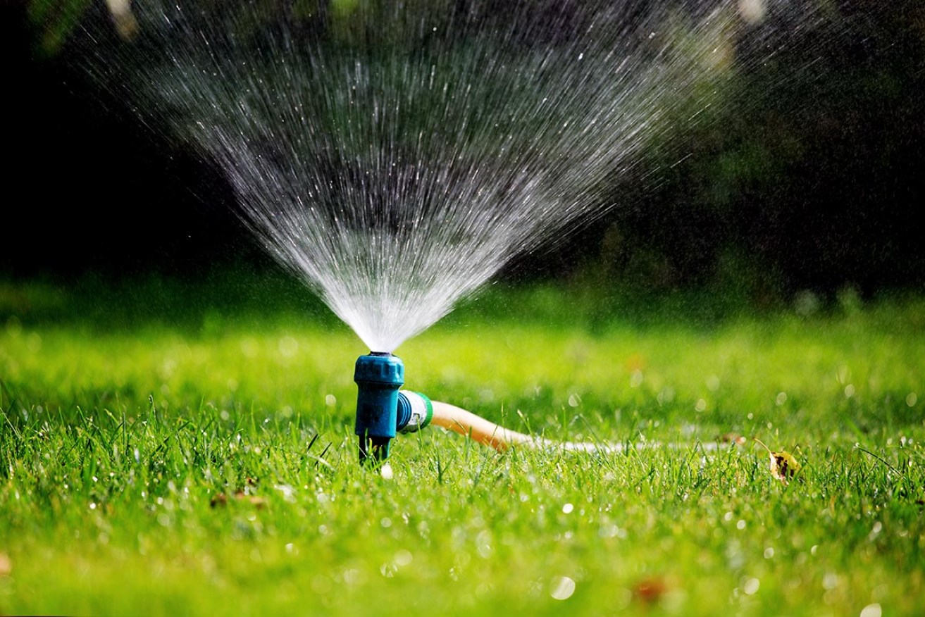 Many Adelaide residents rely on groundwater for garden irrigation.