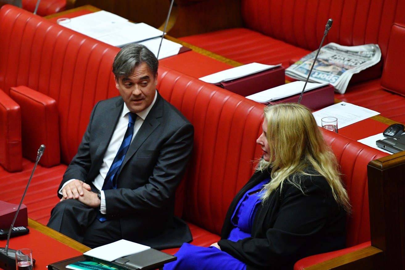 Liberal Andrew McLachlan and Greens MLC Tammy Franks in parliament. Photo: David Mariuz / AAP