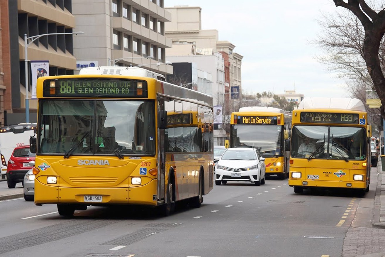 Adelaide Metro buses in the CBD. Photo: InDaily