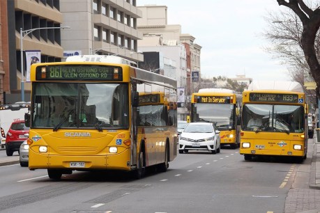 Striking Adelaide bus drivers demand safety, pay rise