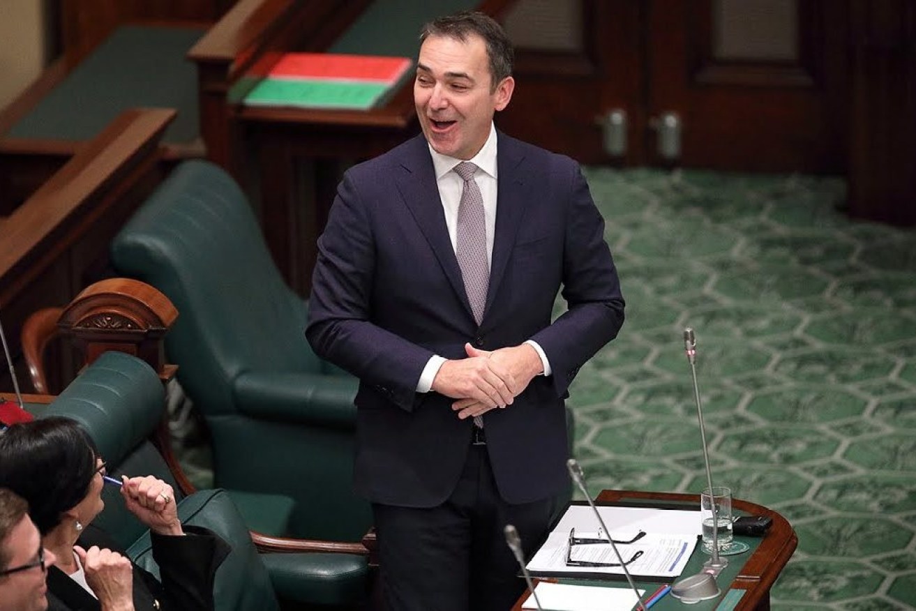 Steven Marshall in parliament. Photo: Tony Lewis / InDaily