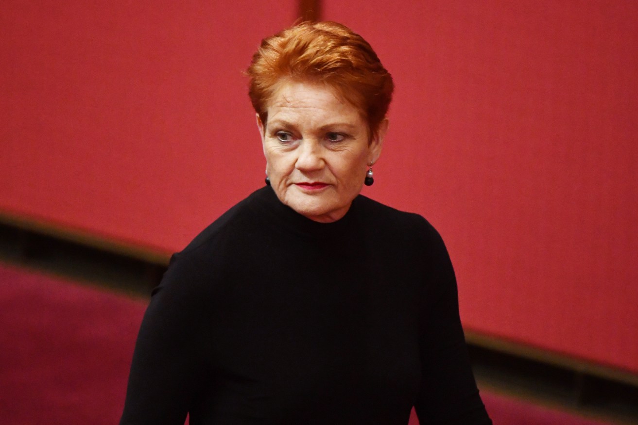 Pauline Hanson has effectively killed off the Government's plan to cut corporate tax. Photo: AAP/Mick Tsikas