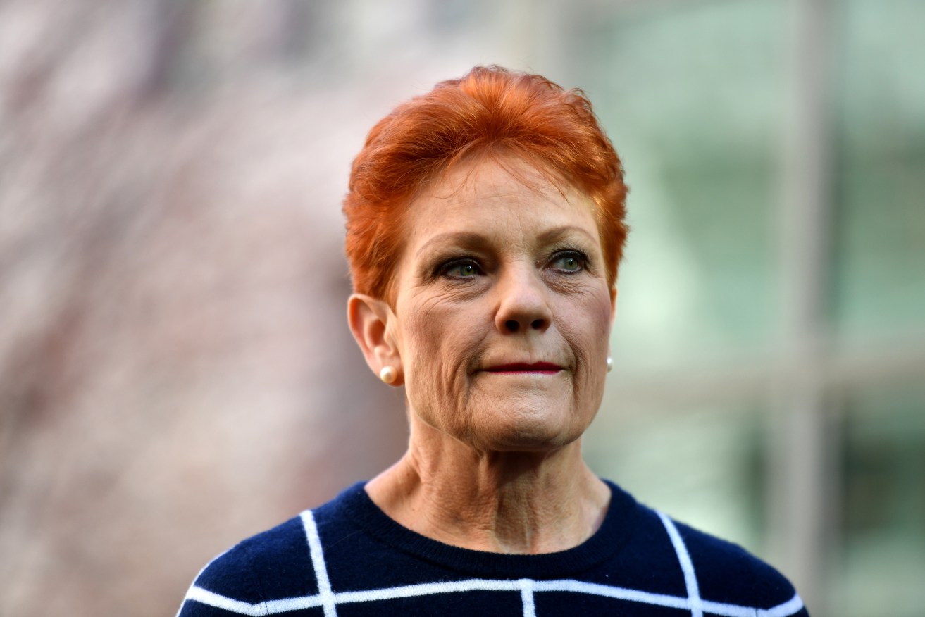 One Nation leader Senator Pauline Hanson at a press conference in Canberra today. Photo: AAP/Mick Tsikas