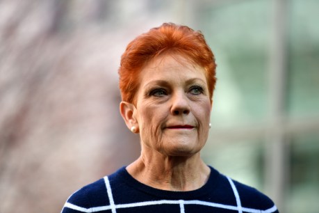 One Nation divided on company tax cuts