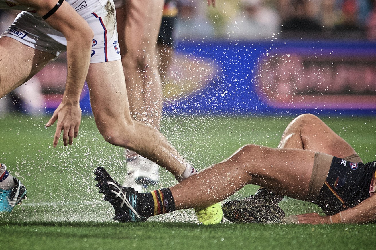 They may have been in danger of drowning, but at least the Crows' hamstrings stayed intact on Friday night. Photo: Michael Errey / InDaily