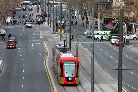 Extended tram network in 20-year vision to mobilise Adelaide CBD