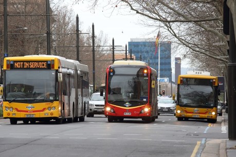 Single operator to control bus services across central Adelaide