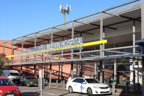 Three patients died by apparent suicide after leaving Adelaide hospital