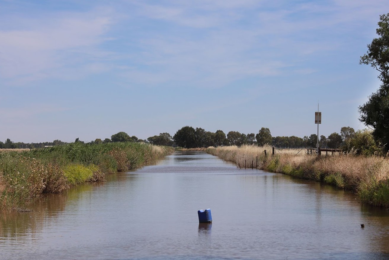 An irrigation canal near Swan Hill, Victoria. Photo: Tony Lewis/InDaily