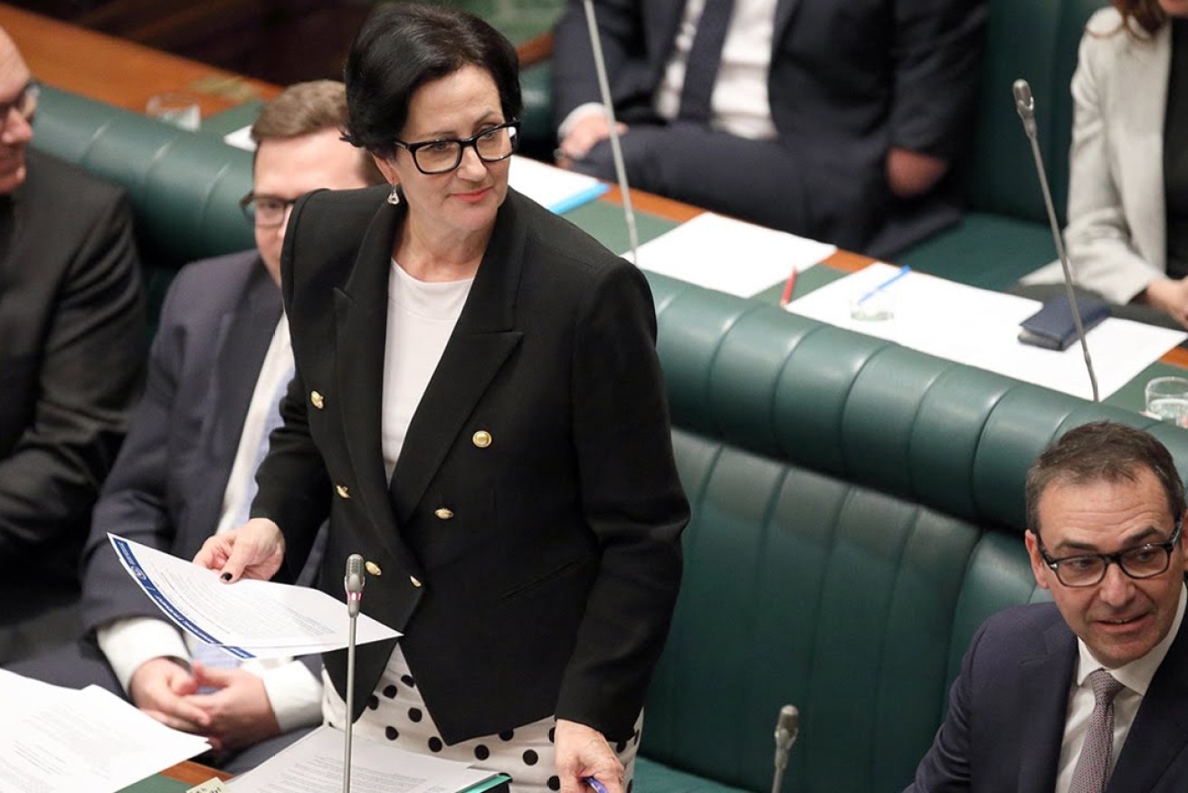 Attorney-General Vickie Chapman in parliament. Photo: Tony Lewis / InDaily