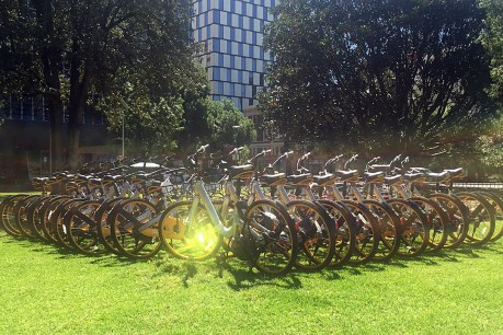 Chinese company wins Adelaide bikeshare monopoly as competitor ordered to leave