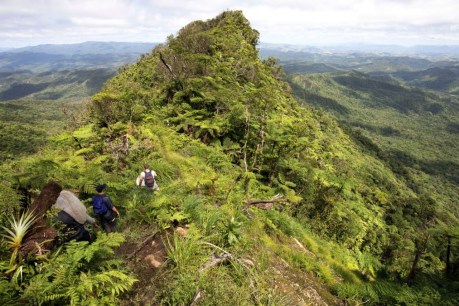 Nature’s secrets abound in Fiji highlands