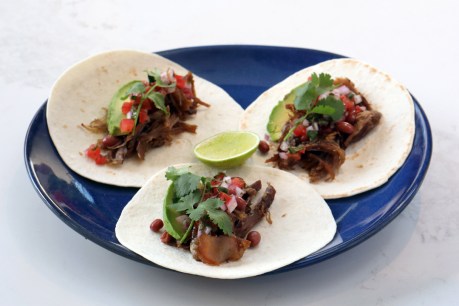 Goat Tacos with Salsa