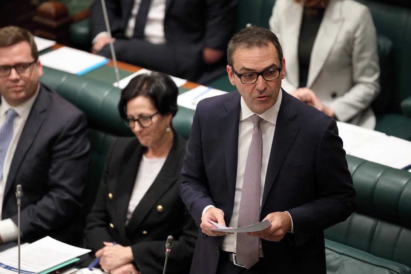 Steven Marshall has denied in parliament influencing public sector appointments. Photo: Tony Lewis / InDaily