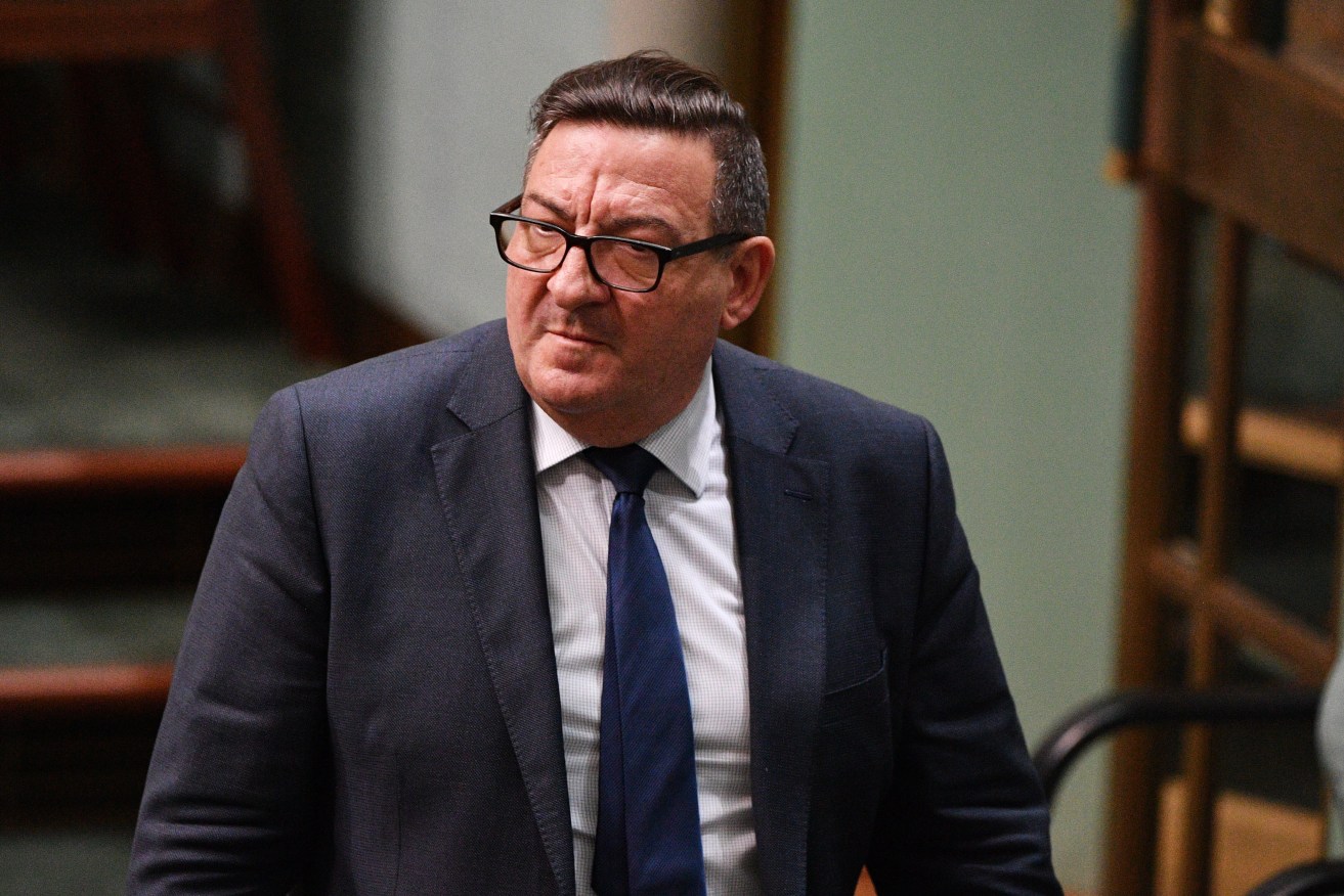 Will Steve Georganas remain in the House of Representatives? Photo: Mick Tsikas / AAP