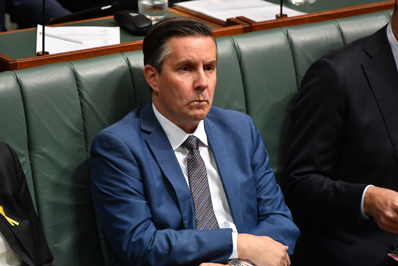 Mark Butler in parliament. Photo: Mick Tsikas / AAP