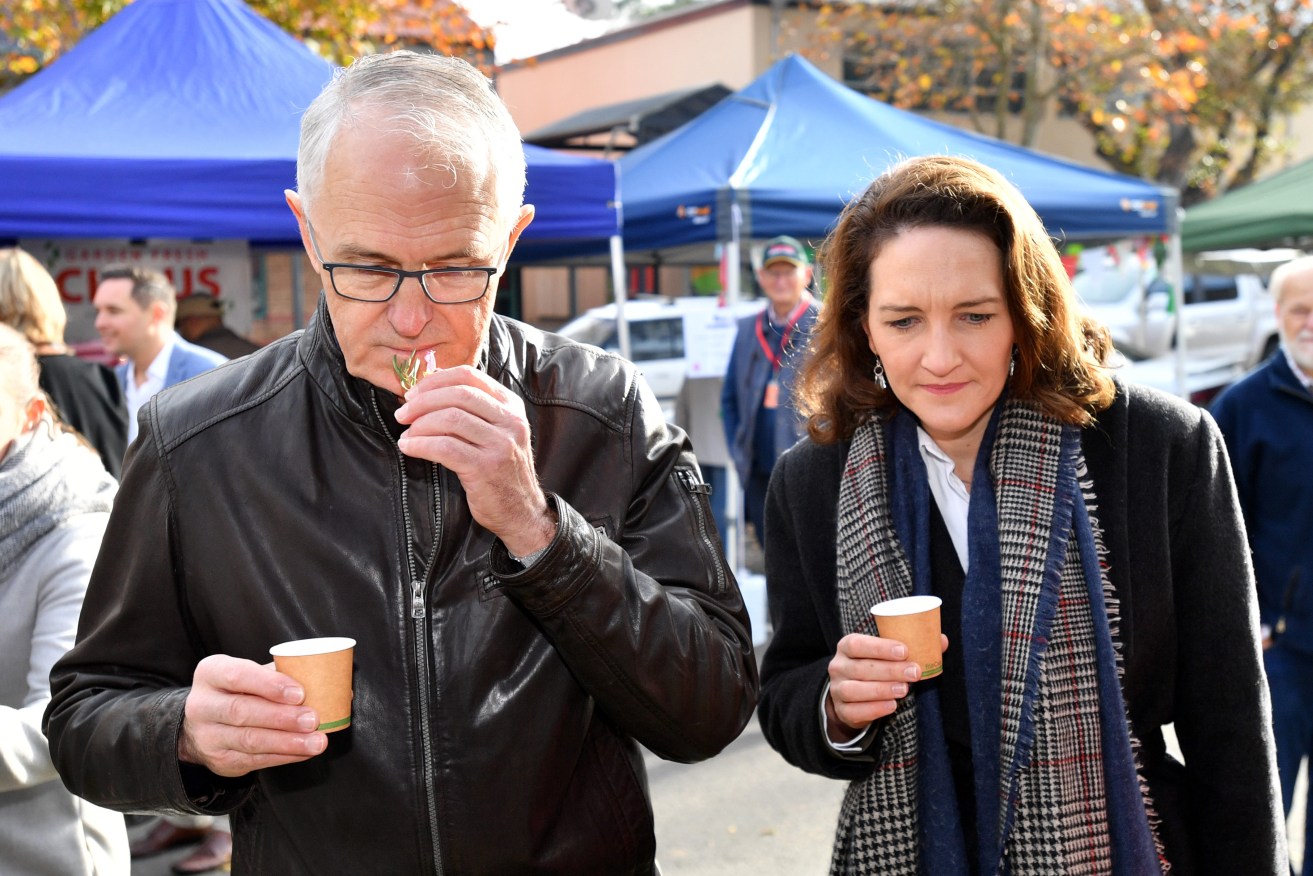 Prime Minister Malcolm Turnbull and Liberal Candidate for Mayo,  Georgina Downer, campaigning in Mt Barker last Saturday. Photo: AAP/David Mariuz