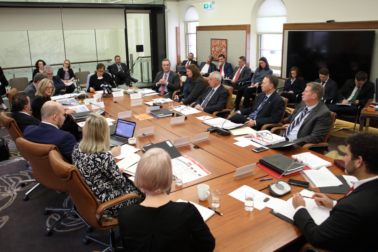 Senior public servants appeared before the Budget and Finance Committee today. Photo: Tony Lewis/InDaily