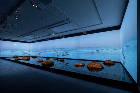 Art installation imagines life billions of years ago