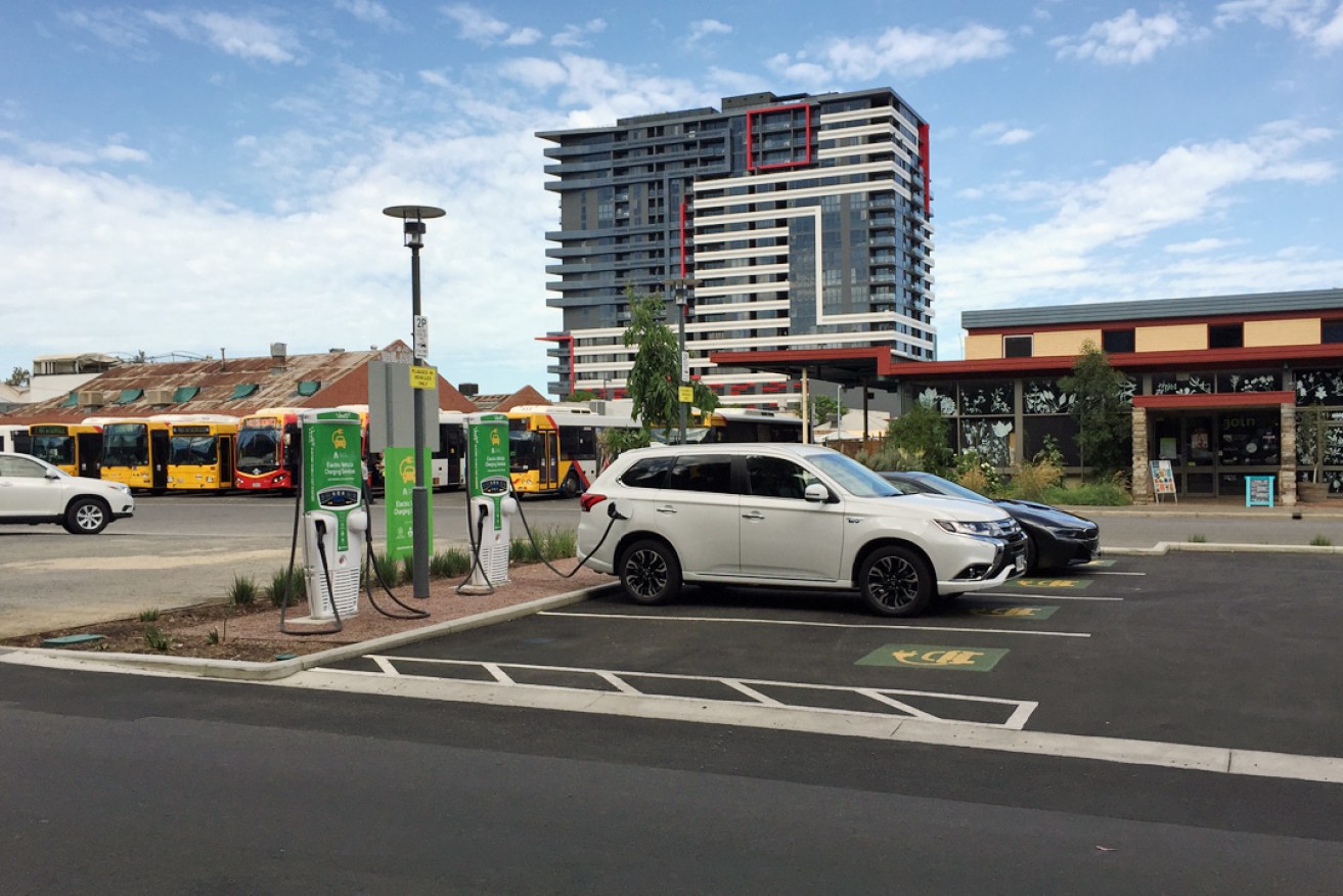 Electric vehicles at a charging station in the CBD. Photo: Bension Siebert / InDaily