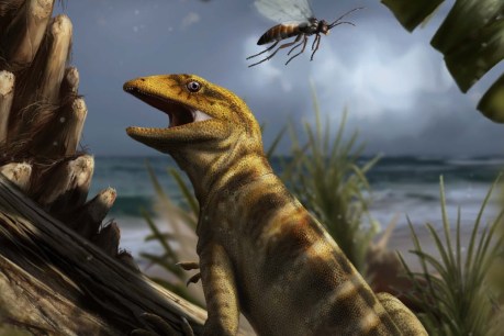 Ancient fossil fills a 75 million-year gap and rewrites lizard and snake history