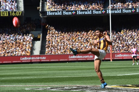 Cyril Rioli retires from the AFL
