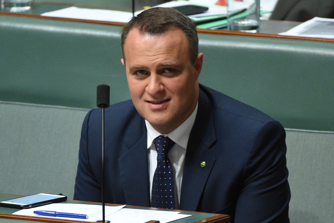 Liberal MP Tim Wilson wants My Health Record to be an opt-in system. Photo: AAP/Mick Tsikas