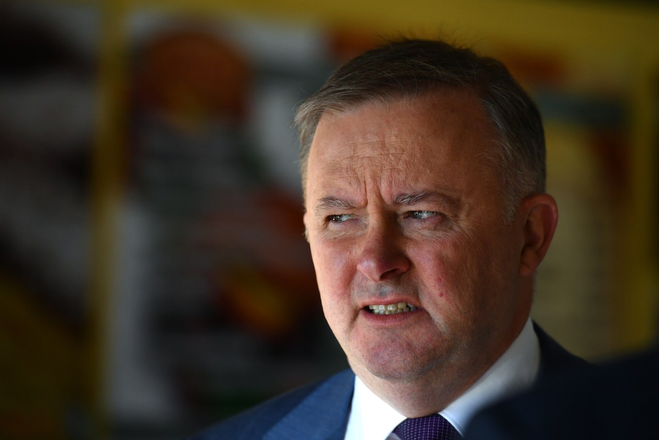 Shadow Minister for Infrastructure Anthony Albanese. Photo: AAP/Mick Tsikas