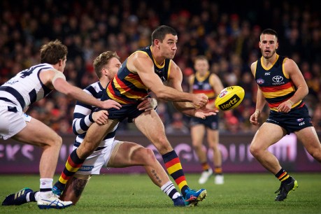 Walker signs on for another season at Crows