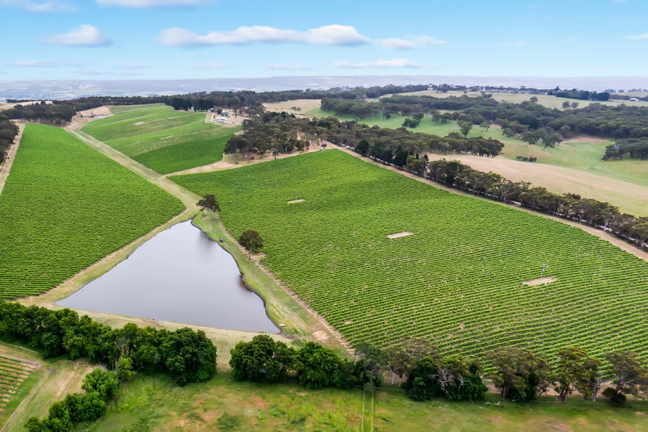 The Atkins family vineyards at Kuitpo - the building repurposed for the cellar door is near the top of the image.