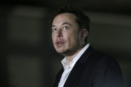 Elon Musk loses nearly $300b