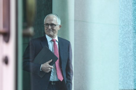 Turnbull defeats Dutton in snap leadership ballot