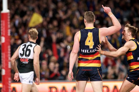 AFL boss backs goal review after Showdown controversy