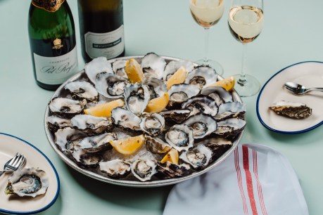 Escape winter at this year’s Oyster Festival