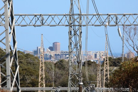 SA welfare groups urge caution over ‘unfair’ energy guarantee