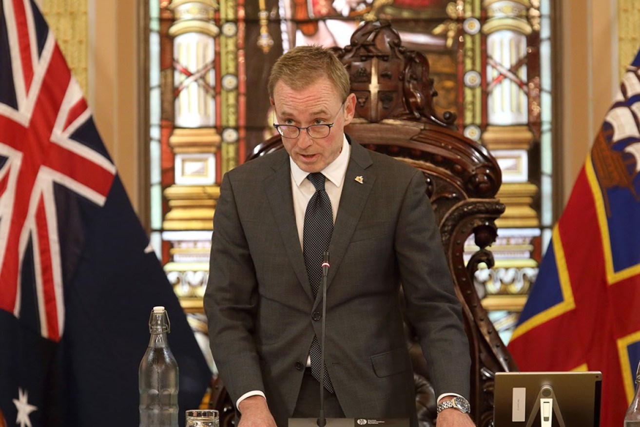 Lord Mayor Martin Haese says the Greens' criticism of his 'team' is politically motivated. Photo: Tony Lewis/InDaily