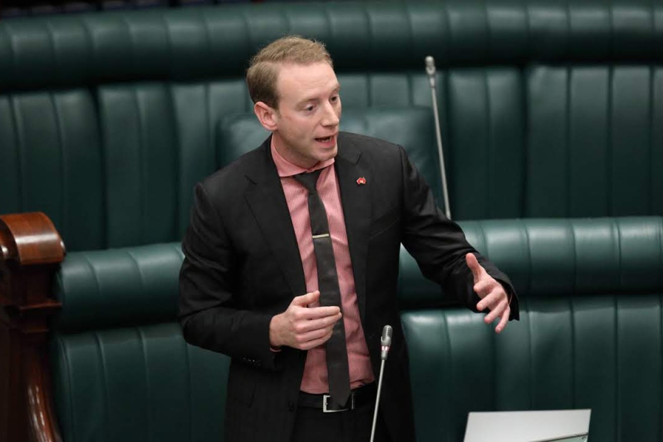 Environment Minister David Speirs. Photo: Tony Lewis/InDaily