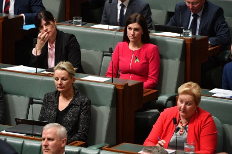 PM accuses state Liberal MPs of “sticking their noses in”
