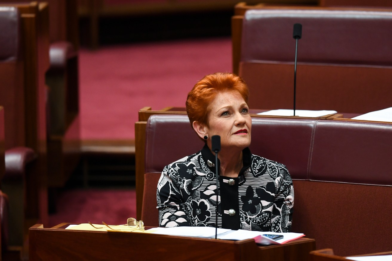 One Nation party leader Pauline Hanson in the Senate yesterday. Photo: AAP/Lukas Coch